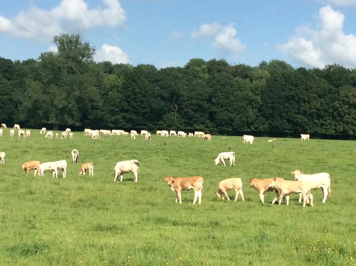Aux Bois Dores De La Ferme De Sorval, Animaux De La Ferme, Fitness Selvigny Bagian luar foto